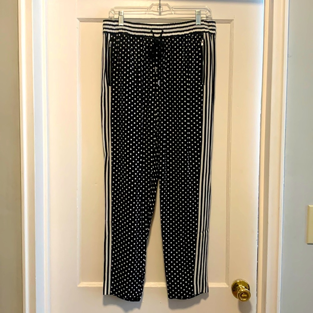 Express Striped Pants